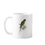 Hooded Parrakeet by Edward Lear mugs