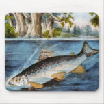 Hooked Fish mousepads