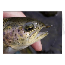 Hooked on fly fishing - Card