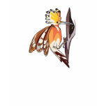 hoopoe bird t-shirts