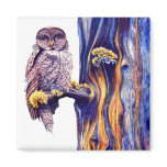 Hoo's Look'n  Magnet
