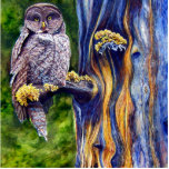 Hoo's Look'n Sculpture Photo Cutouts