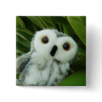 Hoot Hoot! Pins