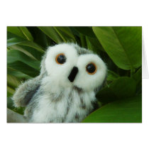Hoot Hoot! Greeting Card