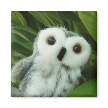 Hoot Hoot! Refrigerator Magnets