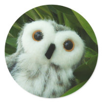 Hoot Hoot! Sticker