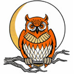 'Hooter' photo sculptures