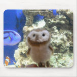Hootin' Annie and Fishes mousepads