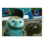Hootin' Annie and Horseshoe Crab Greeting Cards