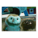 Hootin' Annie and Horseshoe Crab cards