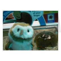 Hootin' Annie and Horseshoe Crab Greeting Cards