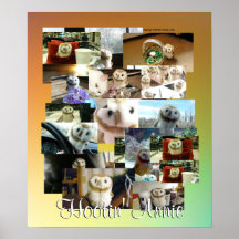 Hootin' Annie Collage Poster