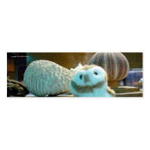 Hootin' Annie & Corals Bookmark Business Card