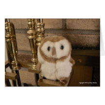 Hootin' Annie on the Hearth Greeting Cards