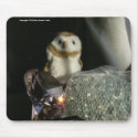 Hootin' Annie & Pretties mousepads