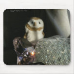 Hootin' Annie & Pretties mousepads