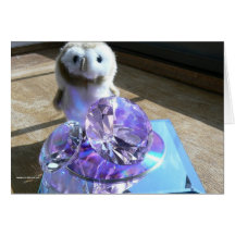 Hootin' Annie Reflections Greeting Cards