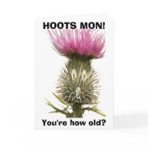Hoots Mon! Greeting Card
