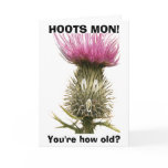 Hoots Mon! Greeting Card