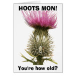 Hoots Mon! Greeting Card