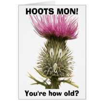 Hoots Mon! Greeting Card