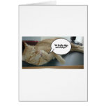 Hope and Change/Cat Humour cards