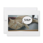 Hope and Change/Cat Humour invitations