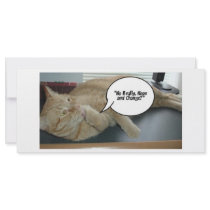 Hope and Change/Cat Humour