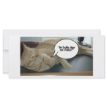 Hope and Change/Cat Humour rack cards