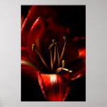 Hope In Darkness Print