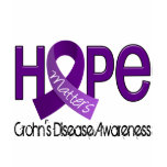 Hope Matters 2 Crohn's Disease t-shirts