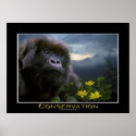 "HOPE" Mountain Gorilla Africa Wildlife Art Poster posters