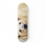 "Hope" Polar Bear Wildlife Watercolor Art Skateboards