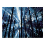 Hope Postcards