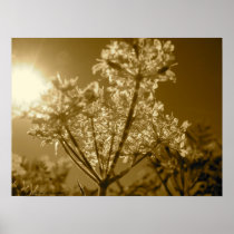 Hope Sepia Poster