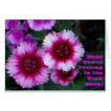 Hope You're Feeling In the Pink Soon! cards