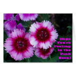 Hope You're Feeling In the Pink Soon! cards