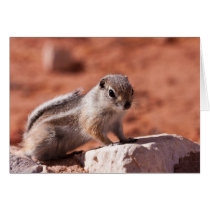 Hopeful Lookout Greeting Card