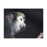 "Hopeful" Post Card postcards