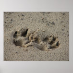 Hope's Pawprints in the Sand Gloss Canvas UV