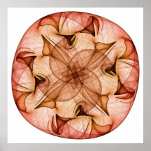 Hopi Shield Posters