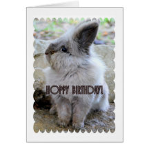 Hoppy Birthday Bunny Greeting Cards