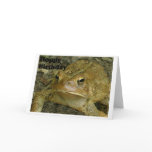Hoppy Birthday cards