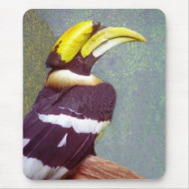 Hornbill Head Mousepad