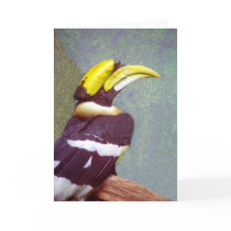 Hornbill Head Note Cards
