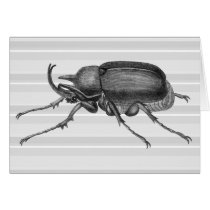 Horned Beetle from Diderot's Encylopaedia Greeting Card
