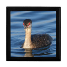 Horned Grebe Keepsake Boxes