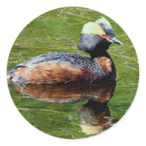 Horned Grebe Stickers