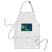 Horned Puffins on Puffin Island Aprons