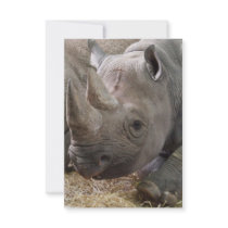 Horned Rhino Invitations